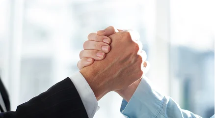profesionales alianzas